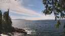 ./images/koeye/fitz-hugh/20260507/fitz-hugh20260507_140002M.jpg