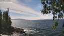 ./images/koeye/fitz-hugh/20260507/fitz-hugh20260507_140501M.jpg