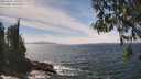 ./images/koeye/fitz-hugh/20260507/fitz-hugh20260507_141002M.jpg