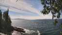 ./images/koeye/fitz-hugh/20260507/fitz-hugh20260507_141501M.jpg