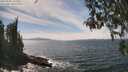 ./images/koeye/fitz-hugh/20260507/fitz-hugh20260507_142002M.jpg