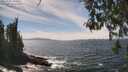 ./images/koeye/fitz-hugh/20260507/fitz-hugh20260507_142501M.jpg