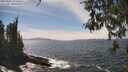 ./images/koeye/fitz-hugh/20260507/fitz-hugh20260507_143501M.jpg