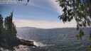 ./images/koeye/fitz-hugh/20260507/fitz-hugh20260507_144001M.jpg