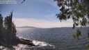 ./images/koeye/fitz-hugh/20260507/fitz-hugh20260507_144501M.jpg