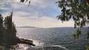./images/koeye/fitz-hugh/20260507/fitz-hugh20260507_150501M.jpg
