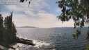 ./images/koeye/fitz-hugh/20260507/fitz-hugh20260507_151501M.jpg