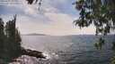 ./images/koeye/fitz-hugh/20260507/fitz-hugh20260507_152001M.jpg