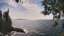 ./images/koeye/fitz-hugh/20260507/fitz-hugh20260507_152501M.jpg