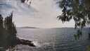 ./images/koeye/fitz-hugh/20260507/fitz-hugh20260507_153001M.jpg