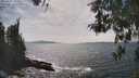 ./images/koeye/fitz-hugh/20260507/fitz-hugh20260507_153501M.jpg