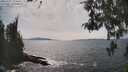 ./images/koeye/fitz-hugh/20260507/fitz-hugh20260507_154501M.jpg