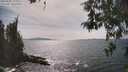 ./images/koeye/fitz-hugh/20260507/fitz-hugh20260507_160002M.jpg