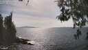 ./images/koeye/fitz-hugh/20260507/fitz-hugh20260507_161002M.jpg