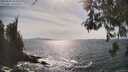 ./images/koeye/fitz-hugh/20260507/fitz-hugh20260507_162501M.jpg