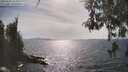 ./images/koeye/fitz-hugh/20260507/fitz-hugh20260507_163502M.jpg