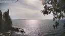 ./images/koeye/fitz-hugh/20260507/fitz-hugh20260507_164001M.jpg