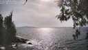 ./images/koeye/fitz-hugh/20260507/fitz-hugh20260507_165001M.jpg
