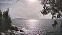 ./images/koeye/fitz-hugh/20260507/fitz-hugh20260507_165501M.jpg
