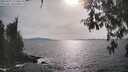 ./images/koeye/fitz-hugh/20260507/fitz-hugh20260507_171501M.jpg