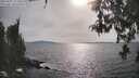 ./images/koeye/fitz-hugh/20260507/fitz-hugh20260507_172001M.jpg