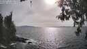 ./images/koeye/fitz-hugh/20260507/fitz-hugh20260507_172501M.jpg