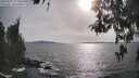 ./images/koeye/fitz-hugh/20260507/fitz-hugh20260507_174501M.jpg
