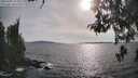 ./images/koeye/fitz-hugh/20260507/fitz-hugh20260507_175002M.jpg