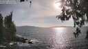 ./images/koeye/fitz-hugh/20260507/fitz-hugh20260507_180501M.jpg
