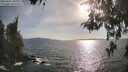 ./images/koeye/fitz-hugh/20260507/fitz-hugh20260507_181002M.jpg