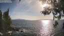 ./images/koeye/fitz-hugh/20260507/fitz-hugh20260507_182501M.jpg