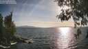 ./images/koeye/fitz-hugh/20260507/fitz-hugh20260507_183501M.jpg