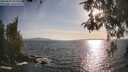 ./images/koeye/fitz-hugh/20260507/fitz-hugh20260507_184001M.jpg