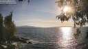 ./images/koeye/fitz-hugh/20260507/fitz-hugh20260507_184501M.jpg