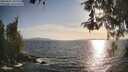./images/koeye/fitz-hugh/20260507/fitz-hugh20260507_185501M.jpg