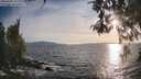./images/koeye/fitz-hugh/20260507/fitz-hugh20260507_192001M.jpg