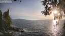 ./images/koeye/fitz-hugh/20260507/fitz-hugh20260507_194001M.jpg