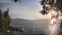 ./images/koeye/fitz-hugh/20260507/fitz-hugh20260507_194502M.jpg