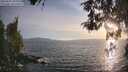 ./images/koeye/fitz-hugh/20260507/fitz-hugh20260507_195001M.jpg