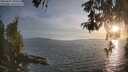 ./images/koeye/fitz-hugh/20260507/fitz-hugh20260507_200501M.jpg