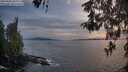 ./images/koeye/fitz-hugh/20260507/fitz-hugh20260507_205001M.jpg