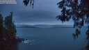 ./images/koeye/fitz-hugh/20260508/fitz-hugh20260508_052502M.jpg