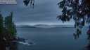 ./images/koeye/fitz-hugh/20260508/fitz-hugh20260508_053001M.jpg