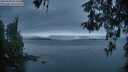./images/koeye/fitz-hugh/20260508/fitz-hugh20260508_053501M.jpg