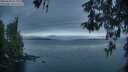 ./images/koeye/fitz-hugh/20260508/fitz-hugh20260508_054001M.jpg
