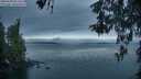 ./images/koeye/fitz-hugh/20260508/fitz-hugh20260508_054502M.jpg