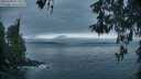 ./images/koeye/fitz-hugh/20260508/fitz-hugh20260508_055502M.jpg
