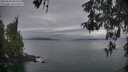 ./images/koeye/fitz-hugh/20260508/fitz-hugh20260508_060501M.jpg