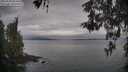 ./images/koeye/fitz-hugh/20260508/fitz-hugh20260508_064501M.jpg