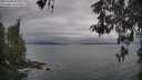 ./images/koeye/fitz-hugh/20260508/fitz-hugh20260508_065001M.jpg
